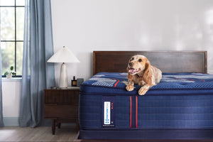   BLACK FRIDAY SALES EVENT 