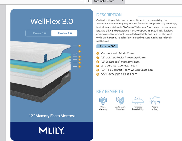 WellFlex Ice 3.0 Mattress